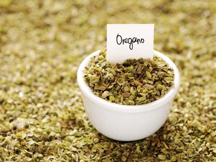 benefits of dried oregano